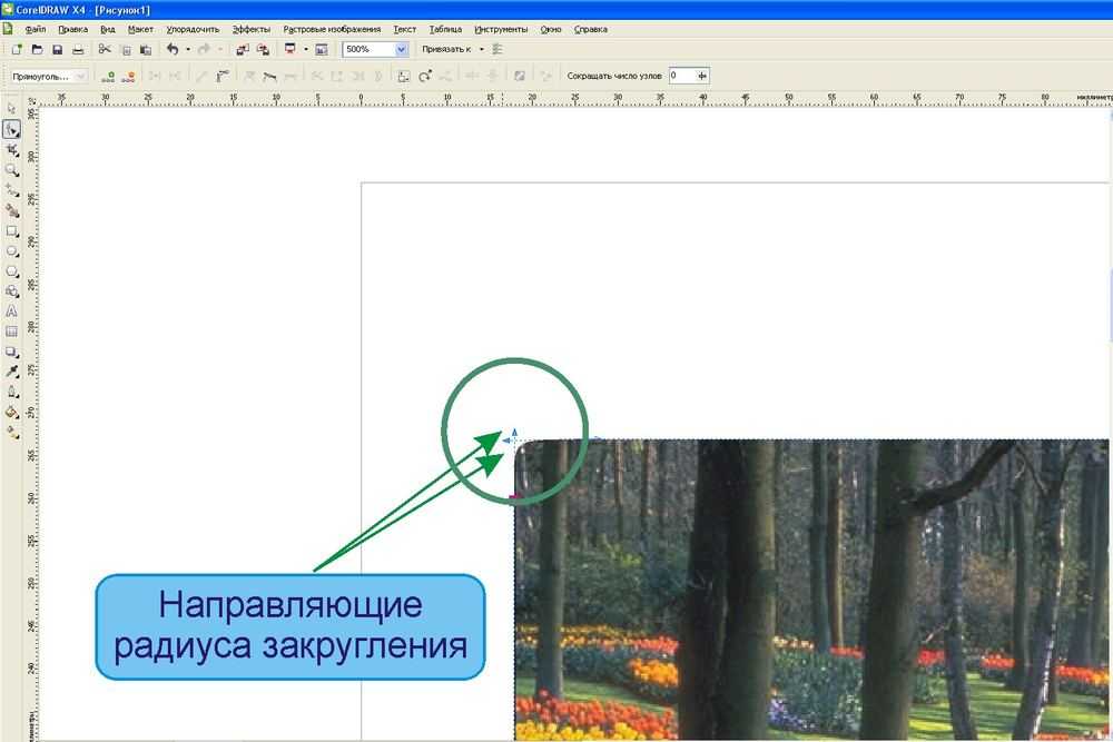 Закруглить Фото Онлайн