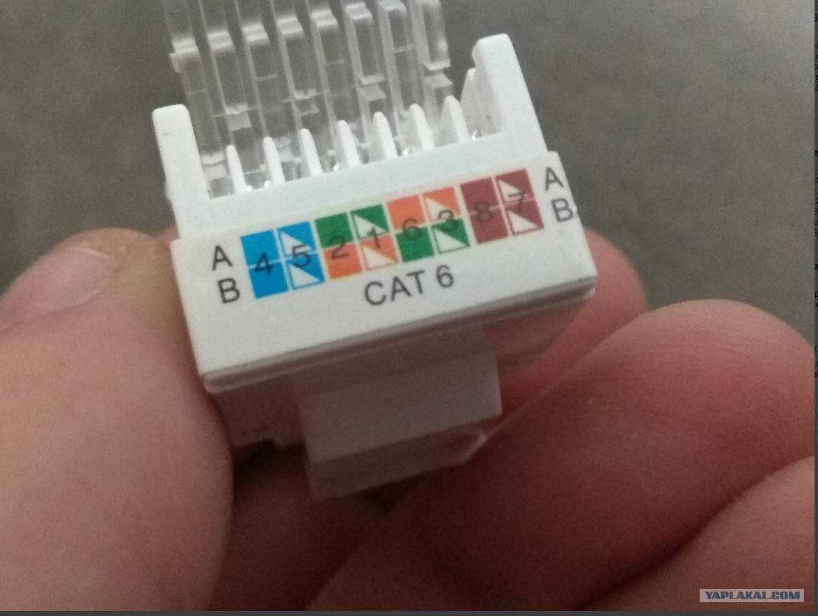 Компьютерная розетка rj45: подключение и монтаж на стену.
